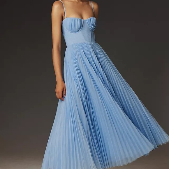 Hutch Dresses & Skirts - Hutch Amara Corset Dress